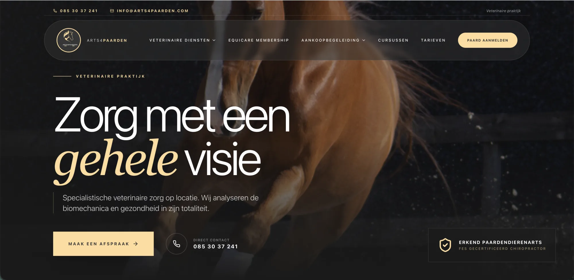 Arts4paarden — website gebouwd door HiLaunch